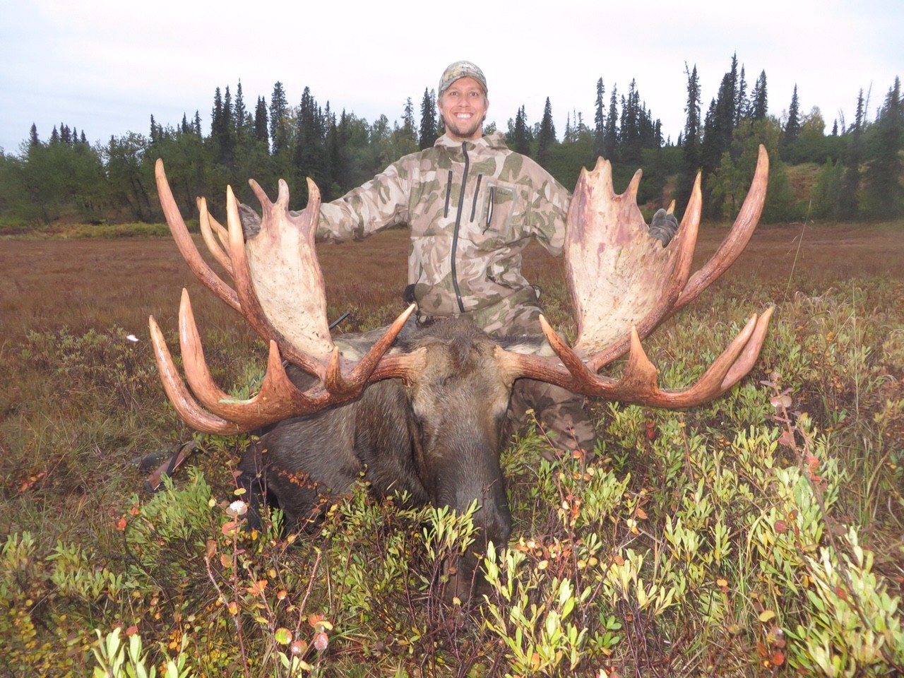 Spriggel Moose Judd - Ultimate Alaskan Adventures