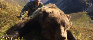 alaska bear hunting