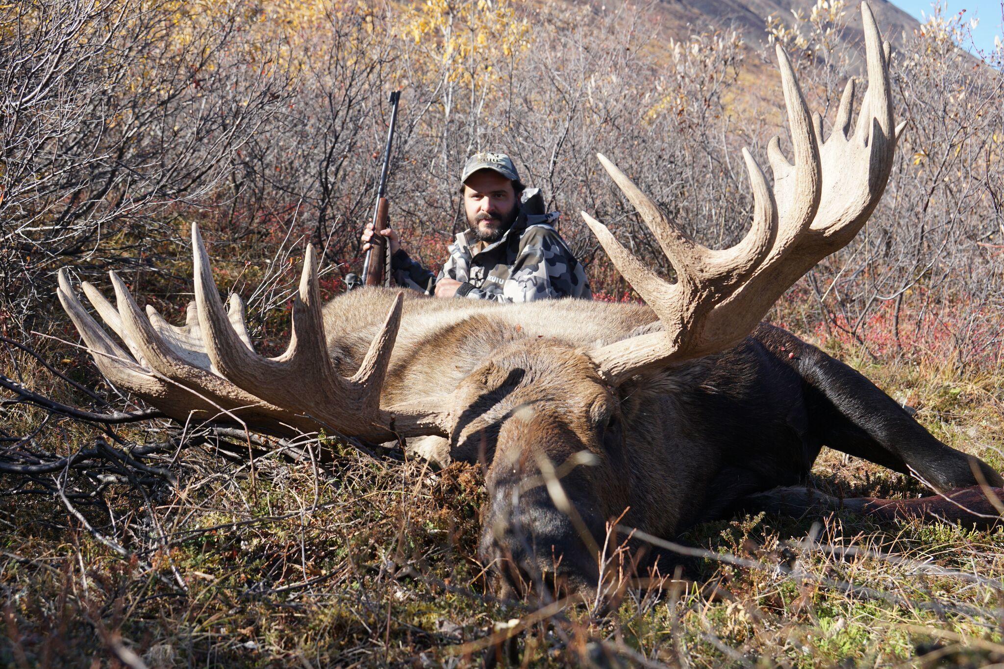 mexican moose - Ultimate Alaskan Adventures